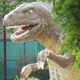 襲われる夢 - 創造物や災害に襲われる夢の夢占い 襲われる夢 - 創造物や災害に襲われる夢の夢占い