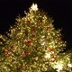 クリスマスツリーの夢 クリスマスツリーの夢