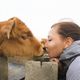 浮気する夢 - 哺乳動物と浮気する夢の夢占い