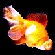 金魚の夢 - 感情や金魚の状況の夢の夢占い