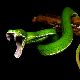 蛇の夢 - 毒蛇の行動の夢の夢占い