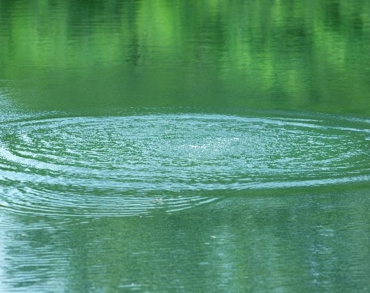 池に落ちる夢 池に落ちる夢