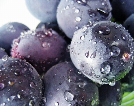 新鮮な葡萄を食べる夢
