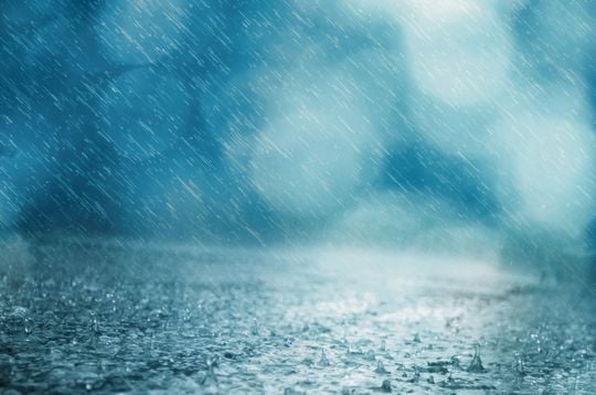 冷たい雨の夢 冷たい雨の夢