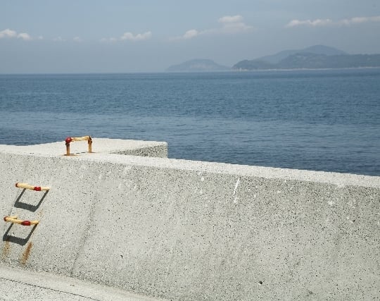 堤防の夢 堤防の夢