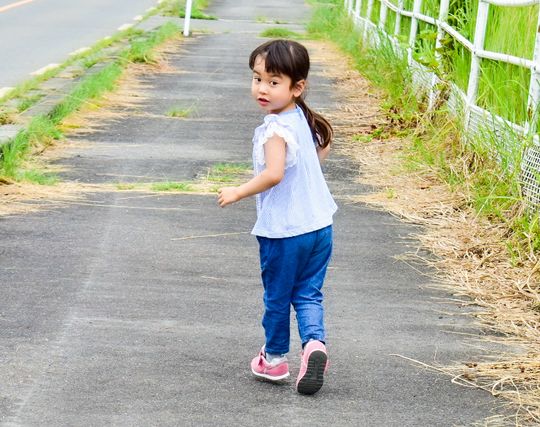 姉妹が追いかけられる夢