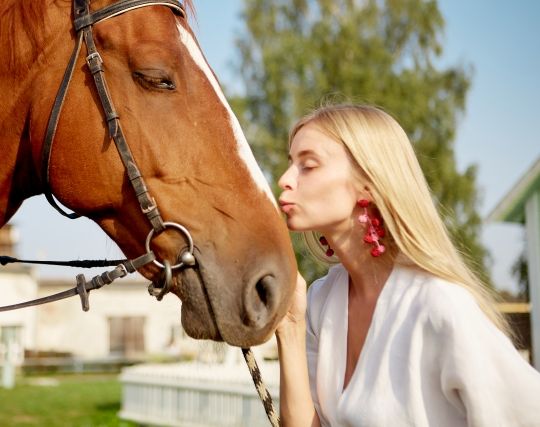馬にキスする夢