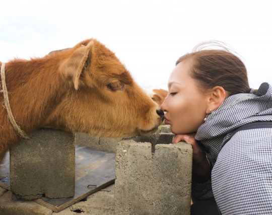 元カノに<strong>キスされる夢</strong>