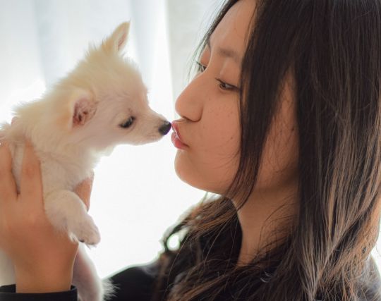 <strong>犬</strong>にキスされる夢