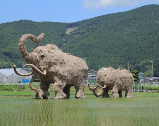 マンモスが<strong>出産</strong>する夢