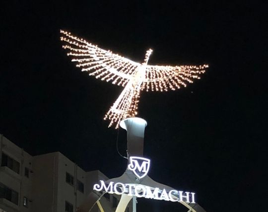 火の鳥になる夢 火の鳥になる夢