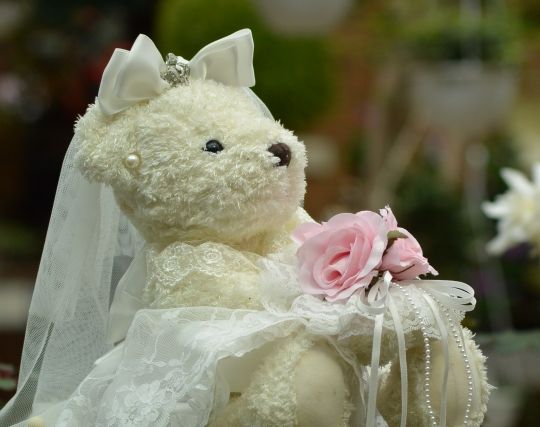 <strong>ぬいぐるみ</strong>の結婚式の夢