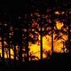 火事の夢 - 火災や焼け跡の夢の夢占い 火事の夢 - 火災や焼け跡の夢の夢占い