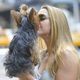 キスする夢 - 動物や創造物にキスする夢の夢占い キスする夢 - 動物や創造物にキスする夢の夢占い