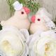 結婚する夢 - 誰かが結婚する夢の夢占い 結婚する夢 - 誰かが結婚する夢の夢占い