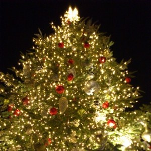 クリスマスツリーの夢