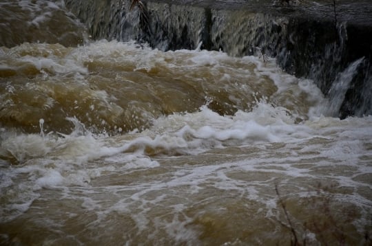 洪水の夢 洪水の夢