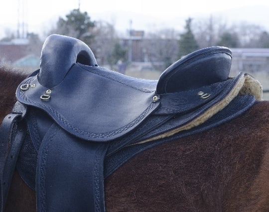 乗馬のため馬の背に鞍を置く夢 乗馬のため馬の背に鞍を置く夢