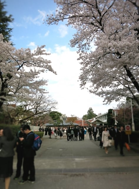 入学式に遅刻する夢 入学式に遅刻する夢
