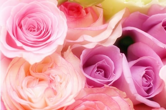 ピンク色の花束の夢