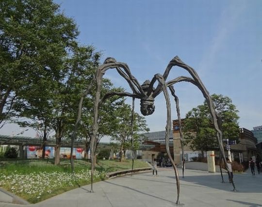 大きな蜘蛛の夢 大きな蜘蛛の夢