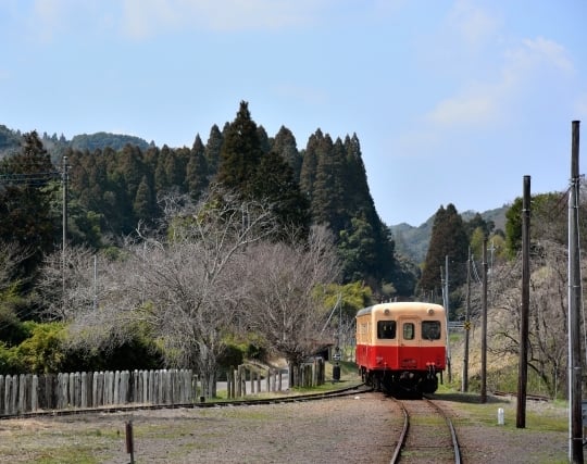 ローカル線に乗る夢 ローカル線に乗る夢