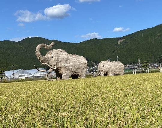 マンモスになる夢