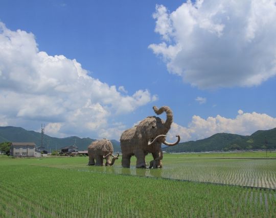 マンモスが歩く夢