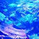 魚の夢の夢占い 魚の夢の夢占い