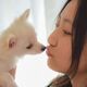 キスされる夢の夢占い キスされる夢の夢占い