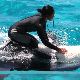 浮気する夢の夢占い 浮気する夢の夢占い