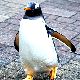 いじめる夢の夢占い いじめる夢の夢占い