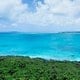 海の夢・海岸の夢の夢占い 海の夢・海岸の夢の夢占い