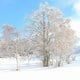 雪の夢の夢占い 雪の夢の夢占い