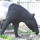騙される夢の夢占い 騙される夢の夢占い