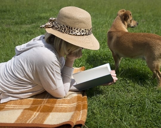 本を読む夢 本を読む夢