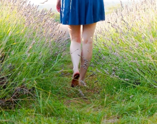 草原を<strong>裸</strong>足で歩く夢