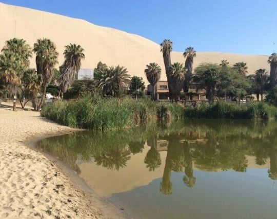 オアシスを探す夢 オアシスを探す夢