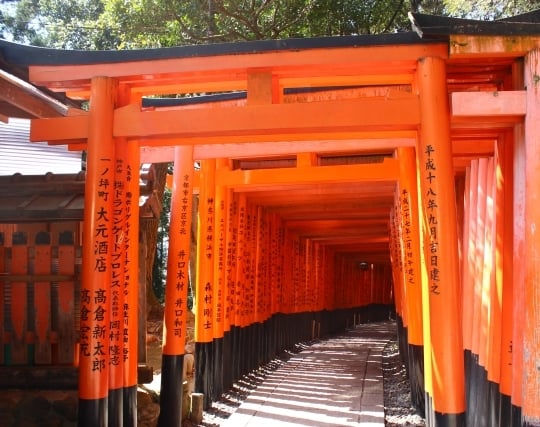 鳥居の夢 鳥居の夢