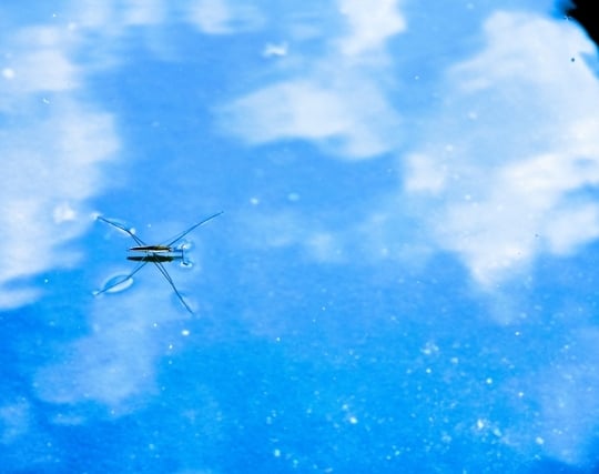 <strong>水</strong>たまりに写った綺麗な空の夢