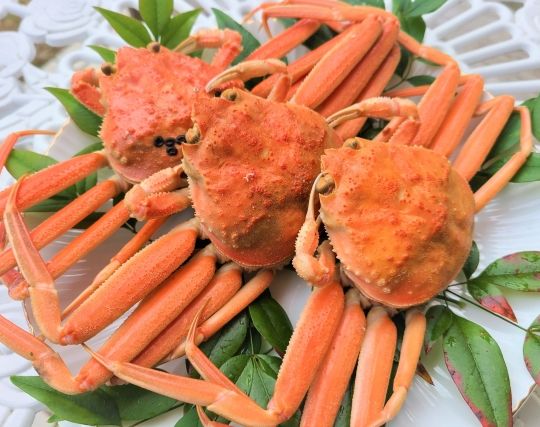 蟹を食べる夢 蟹を食べる夢