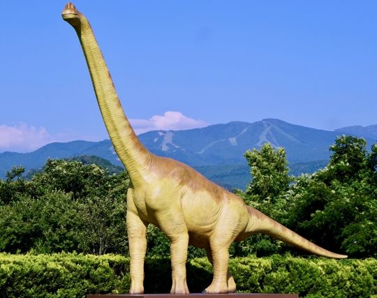 灰色の恐竜の夢 灰色の恐竜の夢