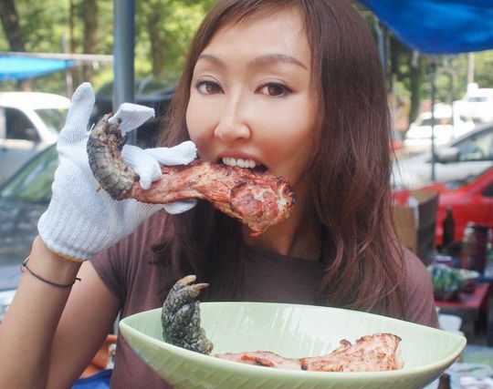 ゲテモノを食べる夢 ゲテモノを食べる夢