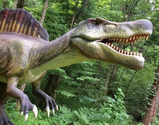 恐竜に食べられる夢 恐竜に食べられる夢