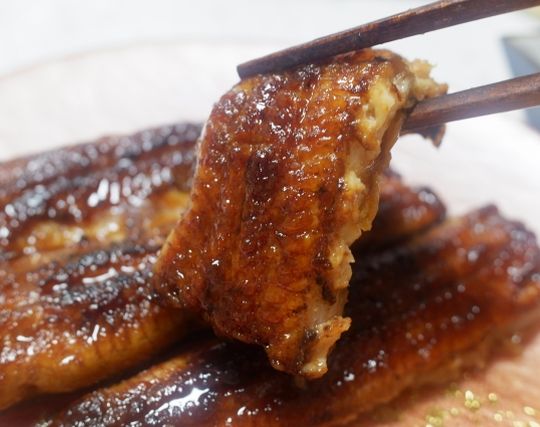 うなぎを食べる夢 うなぎを食べる夢