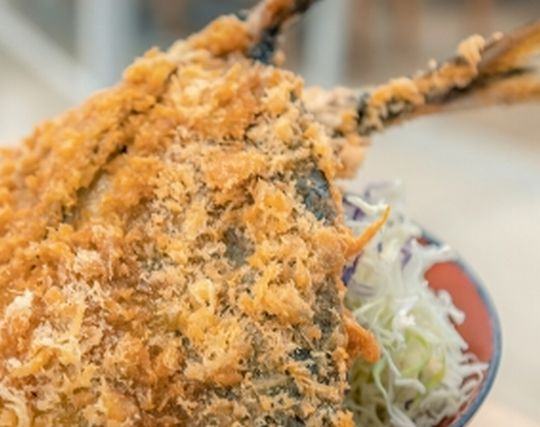 アジを食べる夢 アジを食べる夢