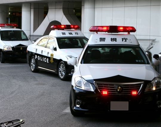 たくさんのパトカーの夢 たくさんのパトカーの夢