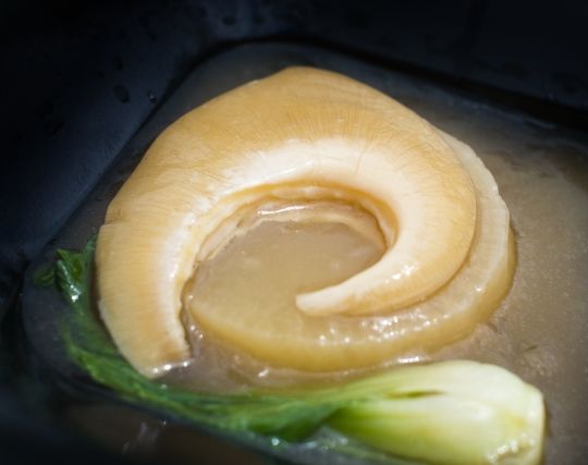 サメを食べる夢 サメを食べる夢