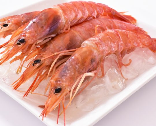 海老を食べる夢 海老を食べる夢