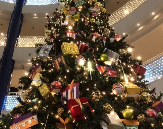 クリスマスツリーが印象的な夢 クリスマスツリーが印象的な夢